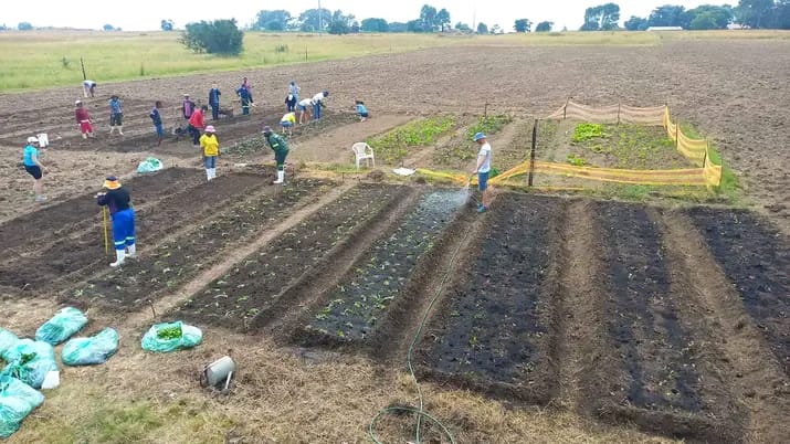 Agriculture